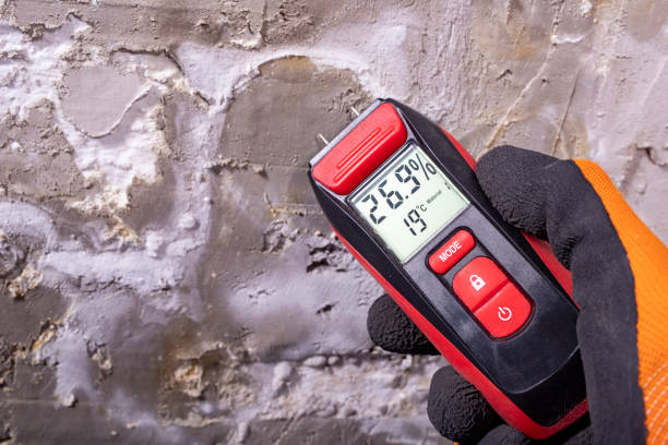 Best Localized Mold Remediation (e.g., coastal areas, humid climates) in Kalida, OH