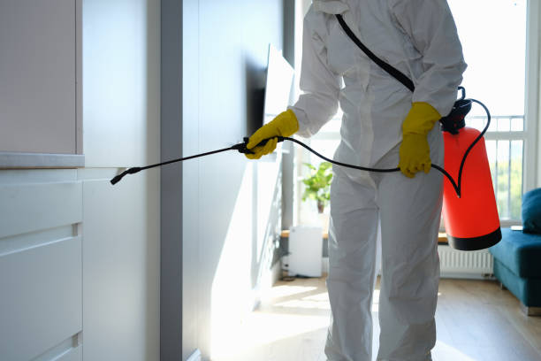 Best Commercial Mold Remediation in Kalida, OH