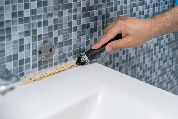 Best Emergency Mold Remediation in Kalida, OH
